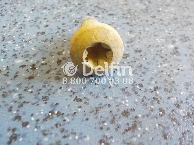 N000000001427 Болт под звездочку крепления ступени M8X20 Mercedes Benz