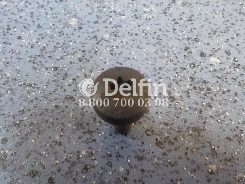 805977 Винт катушки зажигания M8X20 Scania 6 серии