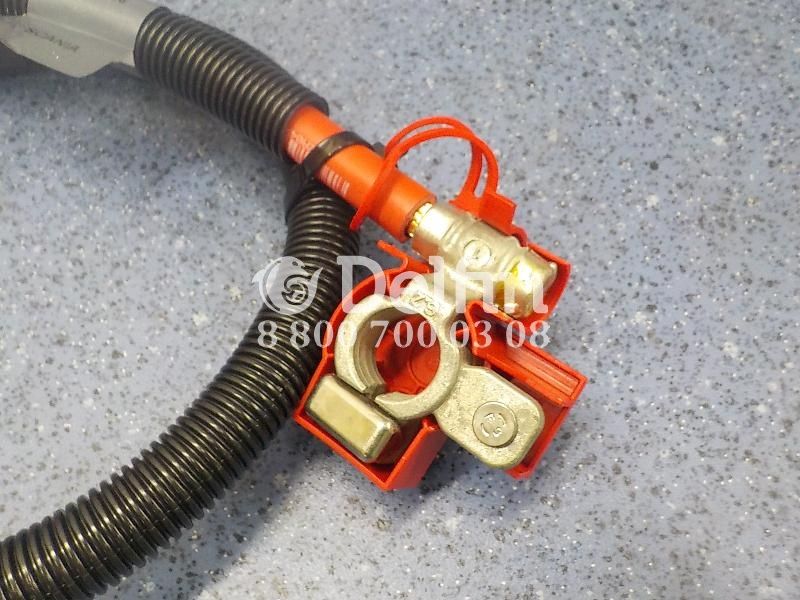 2420644 Жгут электропроводки Scania 6 серии (Н)