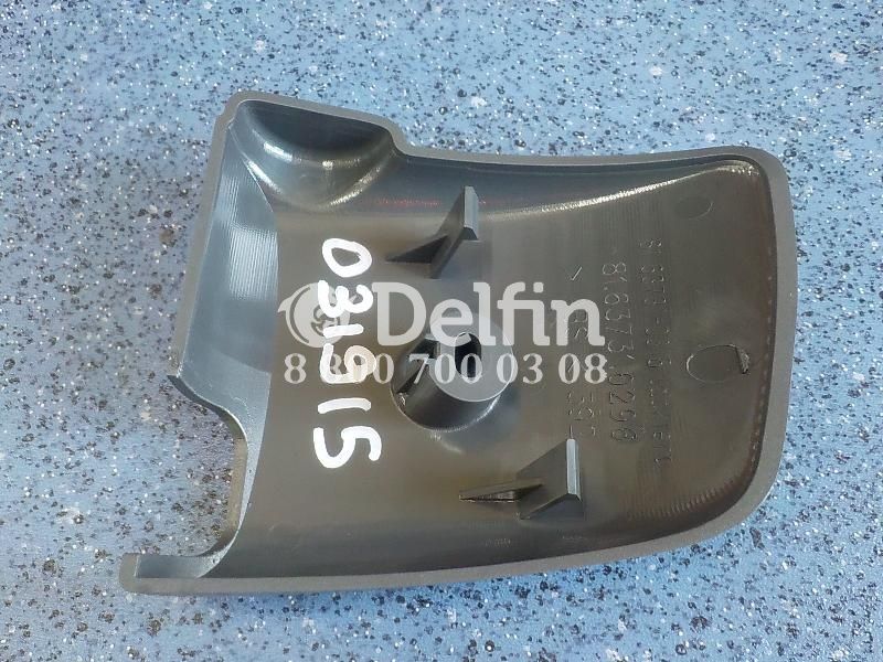 81637310296 Крышка зеркала MAN (Н)